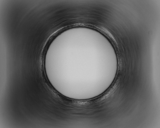 X0000096700831200802191446