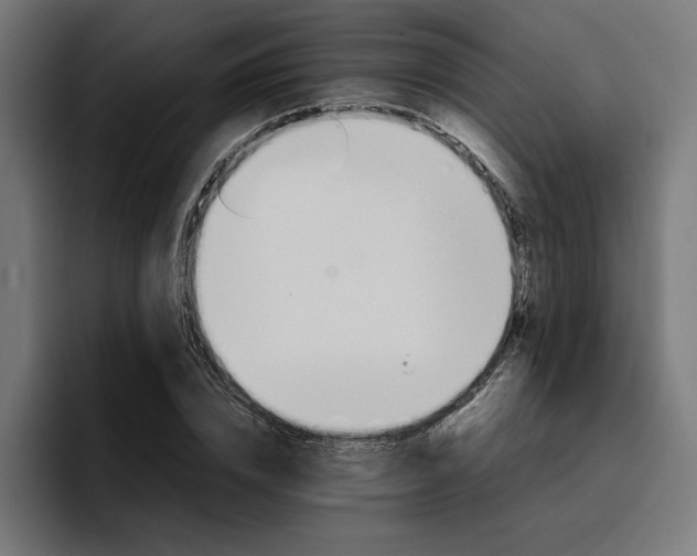 X0000096700832200802191446