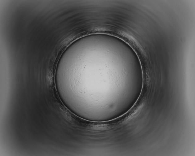 X0000096700833200802191446