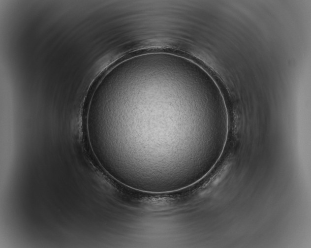 X0000096700834200802191446