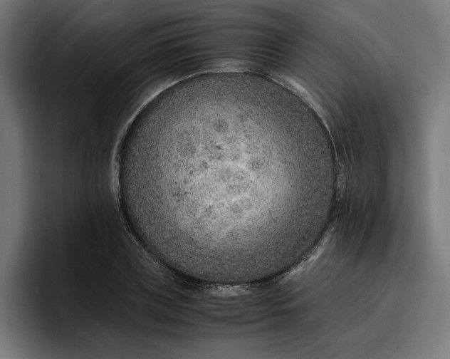 X0000096700835200802191446