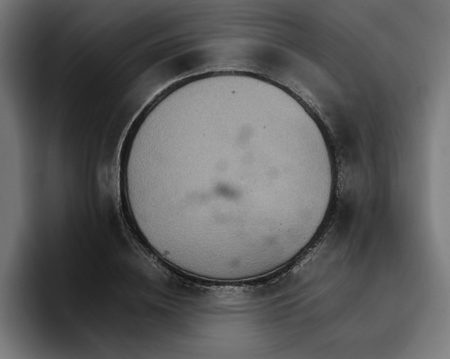 X0000096700836200802191446
