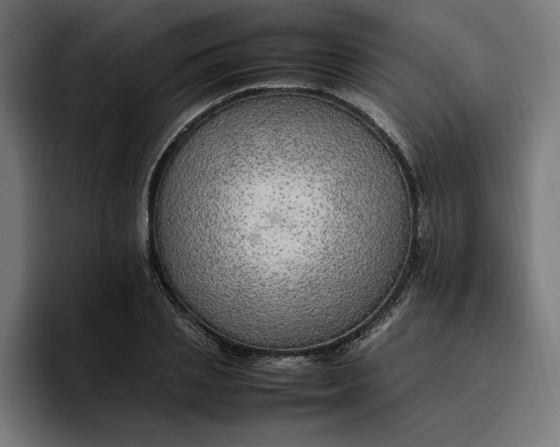X0000096700837200802191446