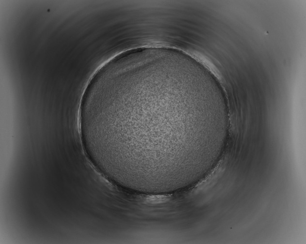 X0000096700839200802191446
