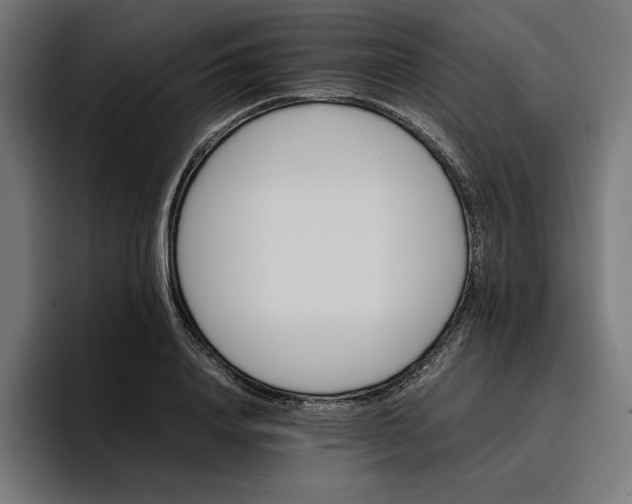 X0000096700840200802191446