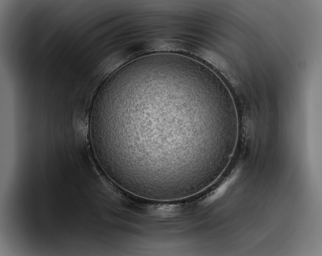 X0000096700841200802191446