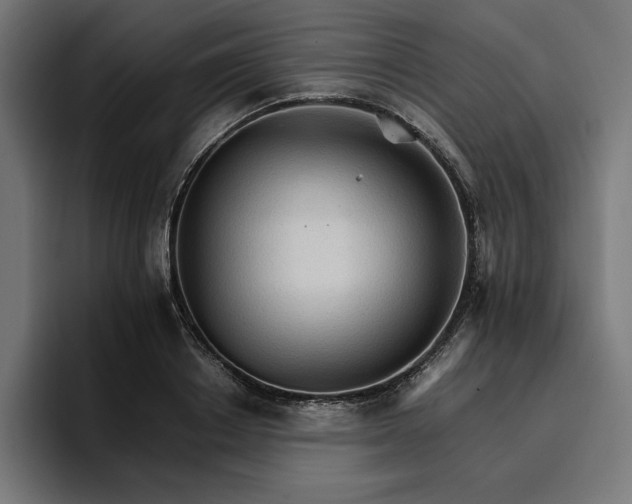 X0000096700842200802191446