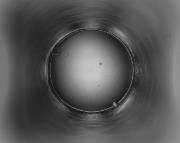 X0000096700843200802191446