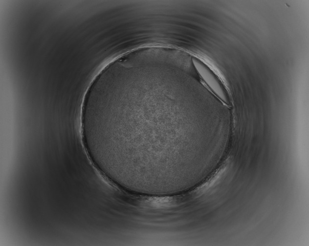 X0000096700845200802191447