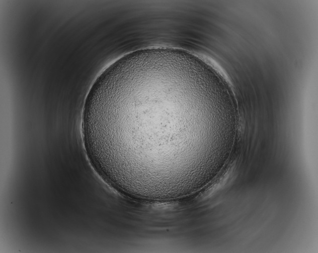 X0000096700847200802191447
