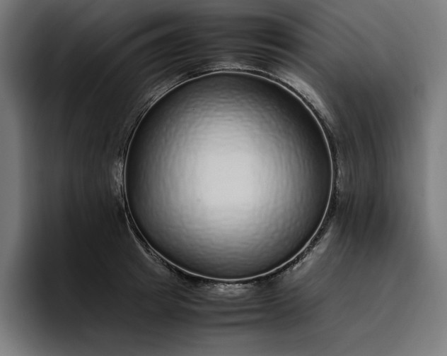 X0000096700849200802191447