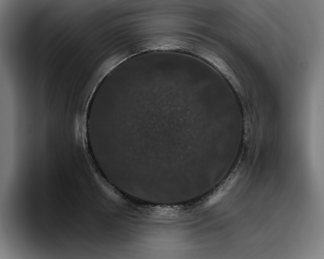 X0000096700850200802191447