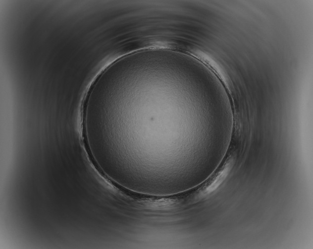X0000096700851200802191447