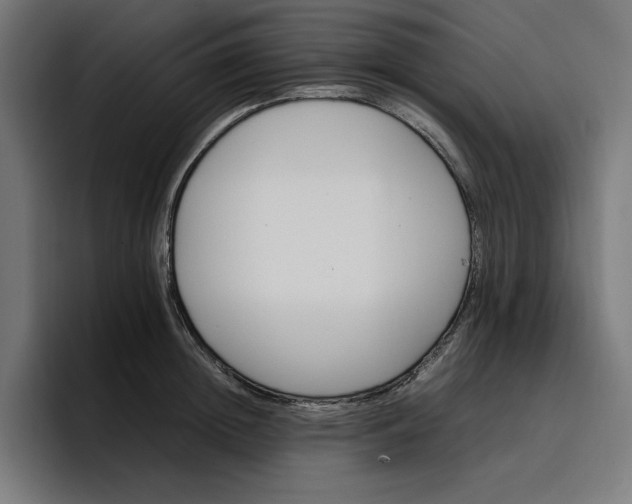 X0000096700852200802191447