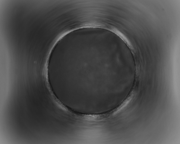 X0000096700854200802191447