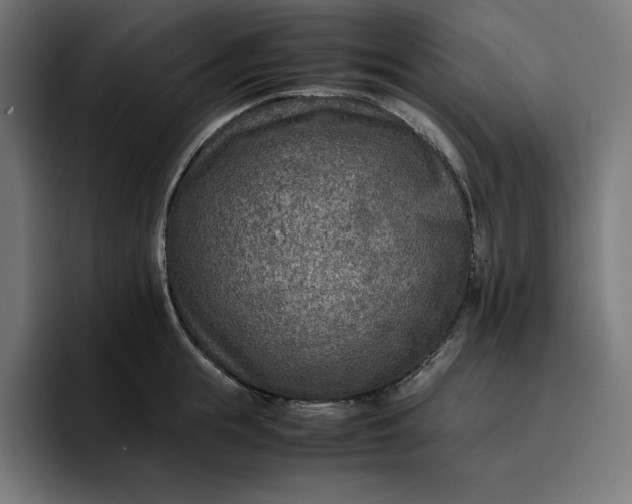 X0000096700855200802191447