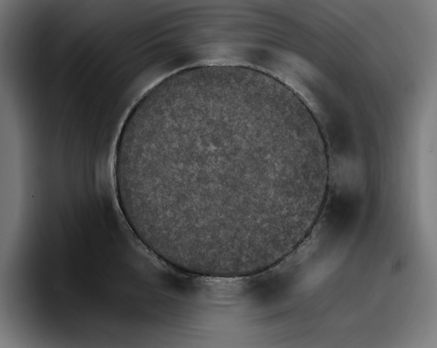 X0000096700856200802191447