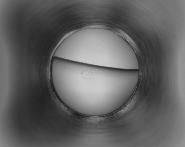 X0000096700860200802191447
