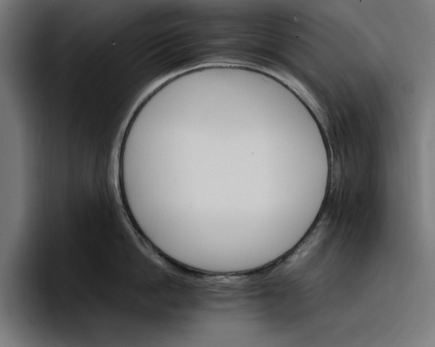 X0000096700862200802191447