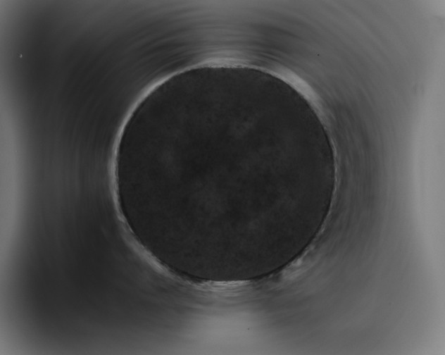 X0000096700864200802191447