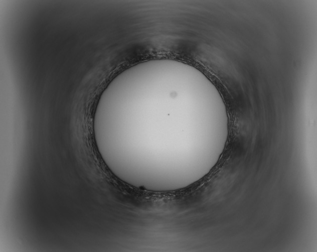 X0000096700865200802191446