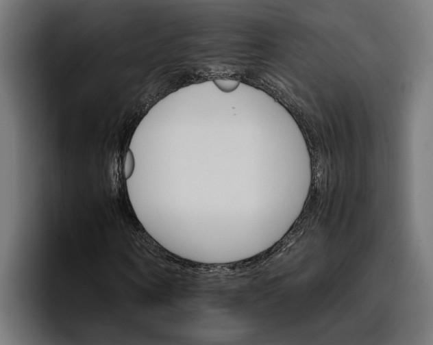 X0000096700866200802191446