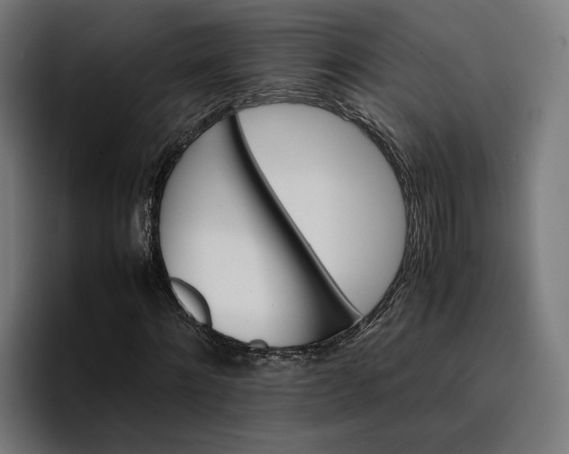 X0000096700868200802191446