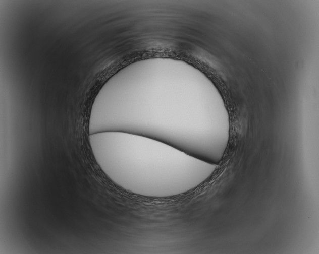 X0000096700869200802191446
