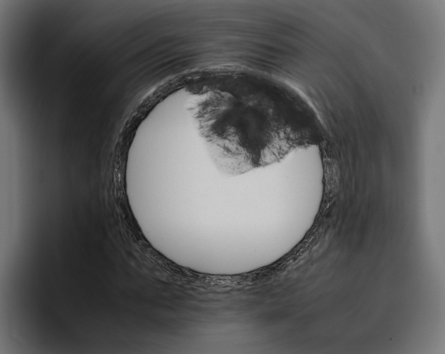 X0000096700871200802191446