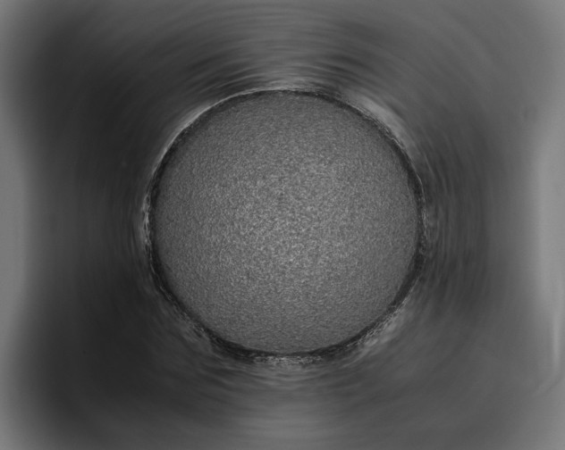 X0000096700875200802191446