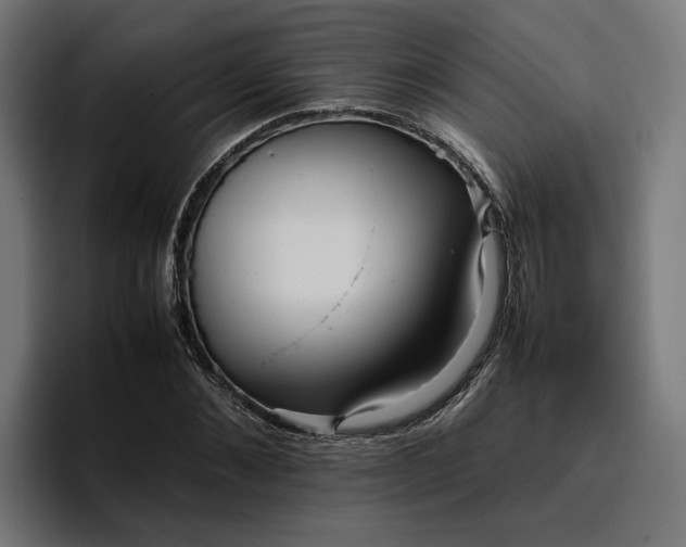X0000096700876200802191446