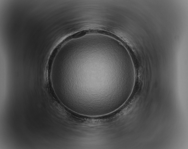 X0000096700877200802191446
