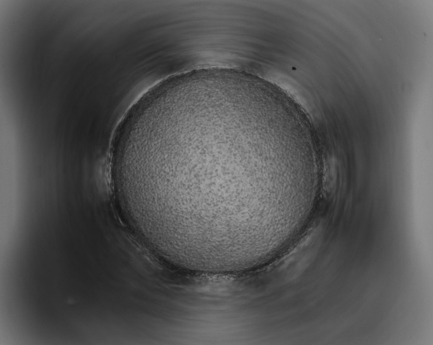 X0000096700878200802191446