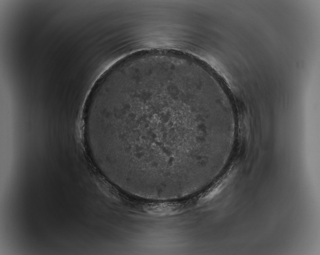 X0000096700879200802191446