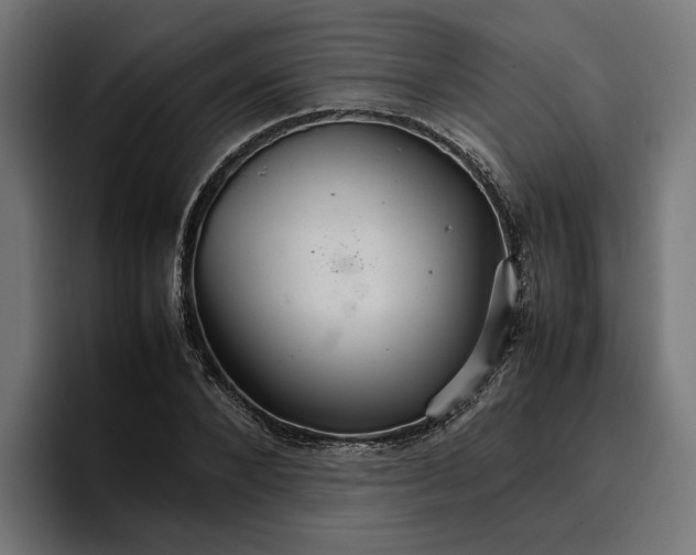 X0000096700880200802191446