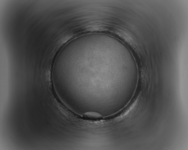 X0000096700881200802191446