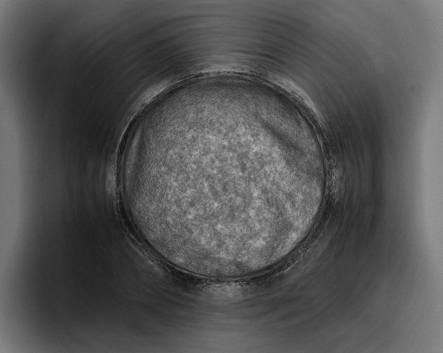 X0000096700882200802191446