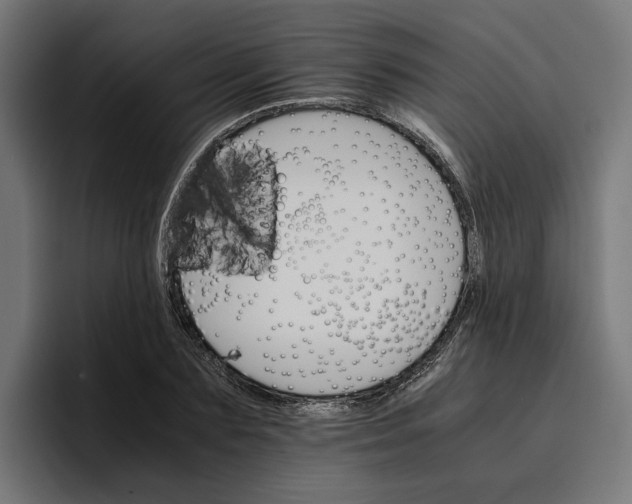 X0000096700883200802191446