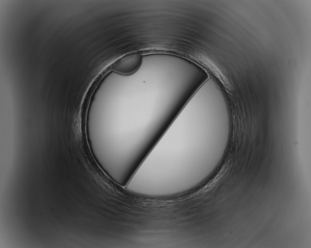 X0000096700884200802191446
