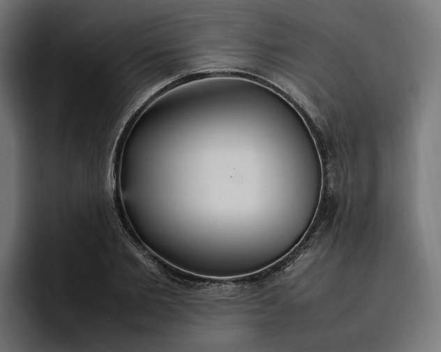 X0000096700885200802191446