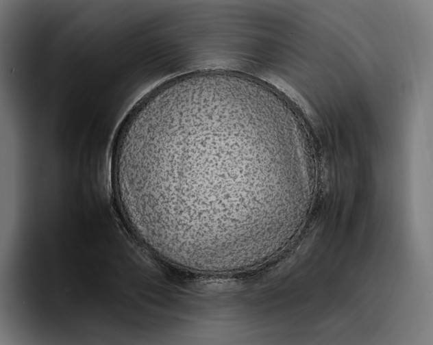 X0000096700886200802191446