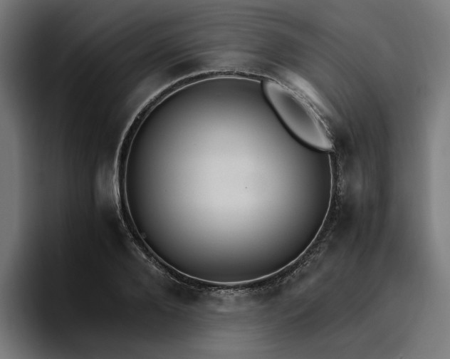 X0000096700888200802191446