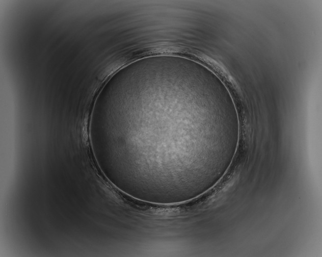 X0000096700889200802191446