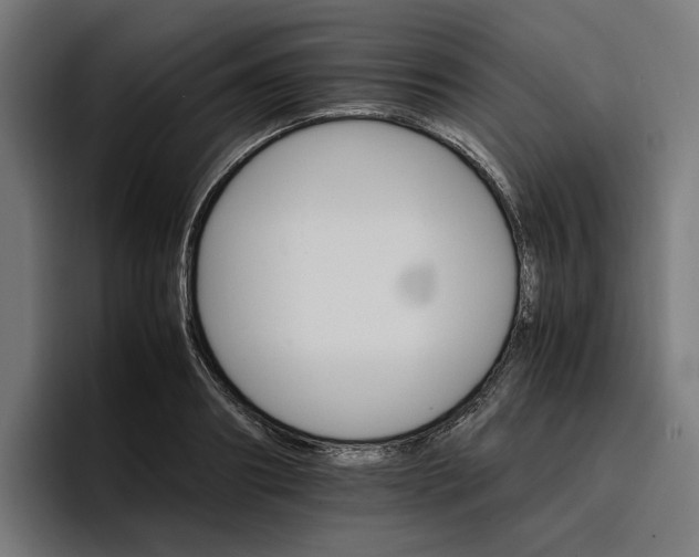 X0000096700890200802191446