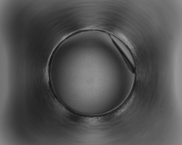 X0000096700892200802191446