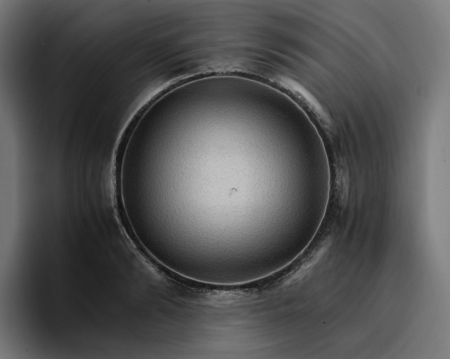 X0000096700894200802191446