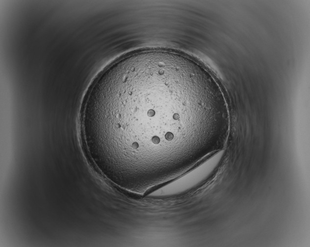 X0000096700895200802191446