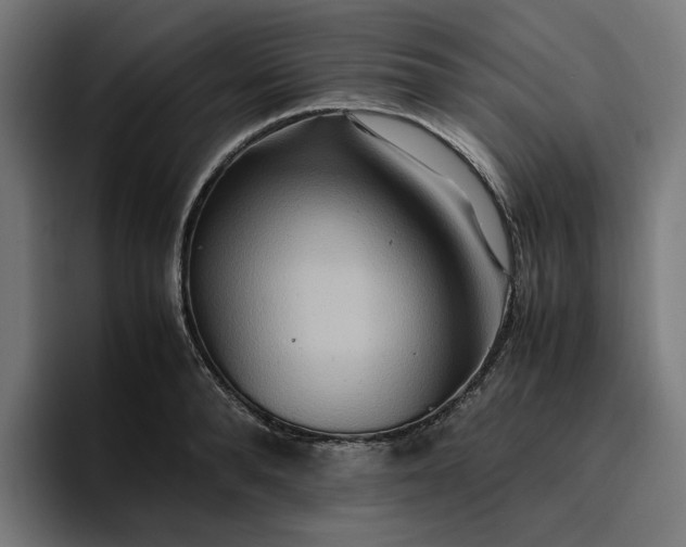 X0000096700896200802191446