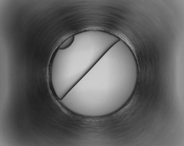 X0000096700898200802191446