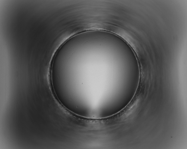 X0000096700901200802191446